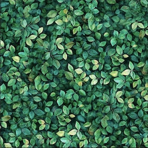 thumbnail image 2 of Classic Green Printed Fabric Lampshade With Leaf Pattern - Made In Italy 2 of 4