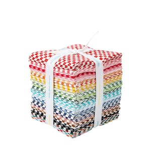 SALE Check Please! Fat Quarter Bundle - 30 Pieces - Riley Blake Designs - Pre cut Precut - 1/4&quot; PRINTED Gingham - Quilting Cotton Fabric