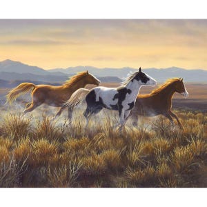 SALE Wild Horses Open Country Panel PD15531 by Riley Blake Designs - DIGITALLY PRINTED  - Quilting Cotton Fabric - Official Licensed Product