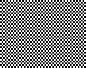 Hot Wheels Made to Race Checker C15304 Black - Riley Blake Designs - Grid Boxes Squares - Quilting Cotton Fabric -  Licensed Product