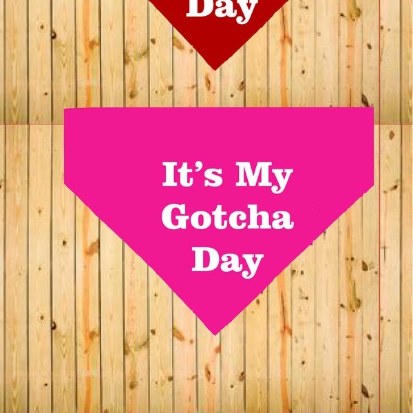 Printed Funny Dog Bandana It's My Gotcha Day Puppy Pooch 6 Colours & 3 Sizes Every Dog Should Have One