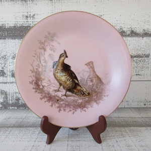 Pink Limoges Plate with Pheasants - French Vintage and Shabby Chic