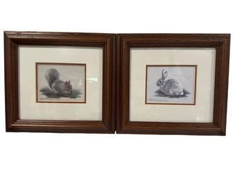Harold Rigsby Framed Squirrel Bunny Art