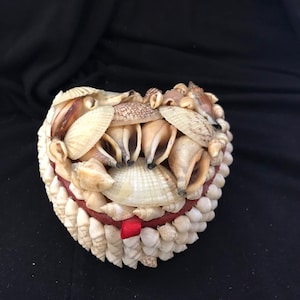 May include: A heart-shaped box made of seashells. The box is filled with various seashells, including some with a red ribbon.