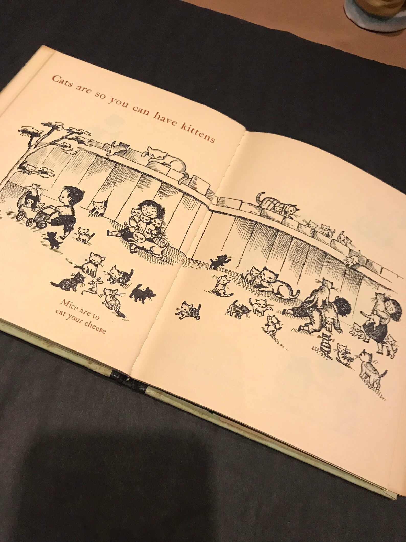 A Hole is to Dig by Ruth Krauss