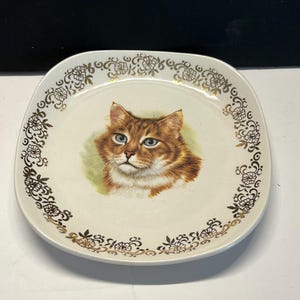 May include: A square, off-white ceramic plate featuring a detailed portrait of a cat with brown and orange fur and blue eyes. The plate is bordered with a gold floral design.