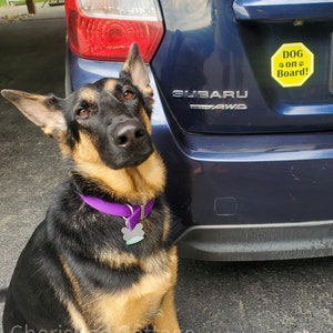 Dog on Board Car Magnet, Dog Safety Magnet, Dog Car Safety, Dog on Board Yellow Octagon Car Decal image 2