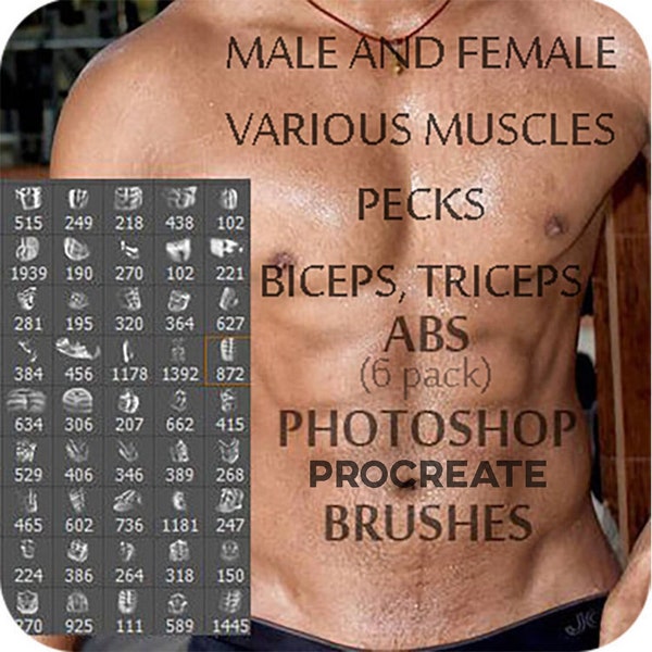 84 ABS Photoshop Brushes / 84 Abs Procreate Brushes / Muscles, ABS, 6 Pack, Arms, Legs, Chest, Biceps, Body Builder Brush / ABS Brushes