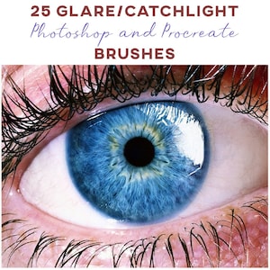 25 Catchlight Photoshop and Procreate Brushes / 25 Eye Glare Brushes / Catchlight brushes / Glare brushes / Light Reflection brushes / Lens image 1