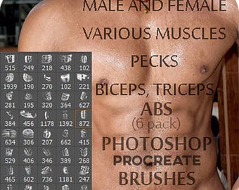 84 ABS Photoshop Brushes / 84 Abs Procreate Brushes / Muscles, ABS, 6 Pack, Arms, Legs, Chest, Biceps, Body Builder Brush / ABS Brushes