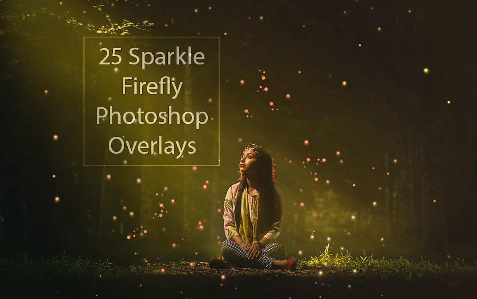 Firefly photoshop. Firefly photoshop