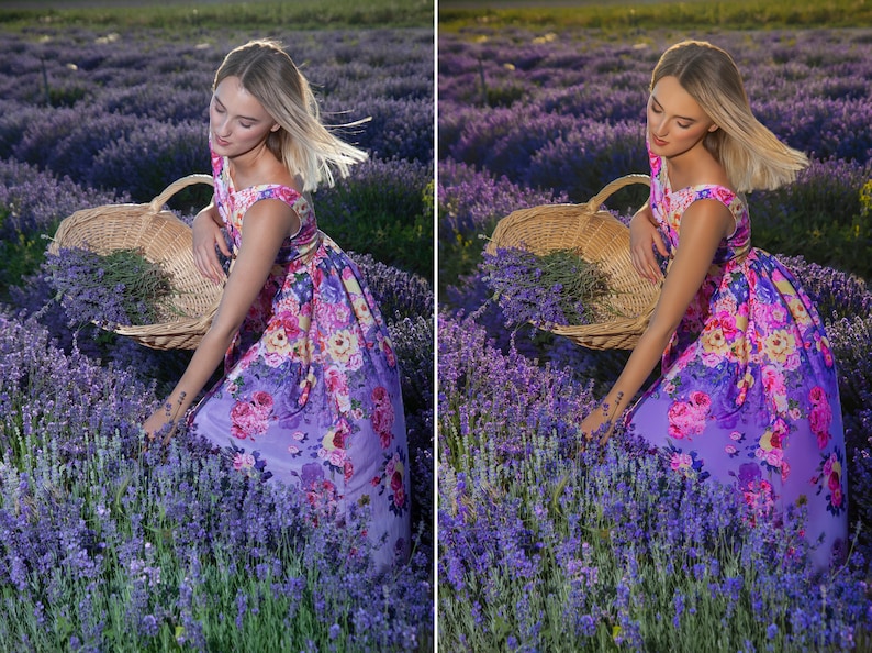 May include: A woman in a floral dress gathers lavender in a field. She holds a wicker basket filled with lavender. The dress is purple with pink and white floral patterns. The lavender field is in full bloom.