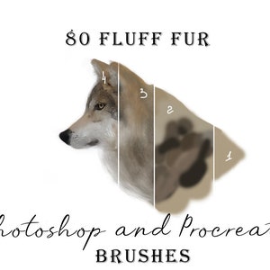 80 Animal Fur Brushes: Photoshop & Procreate Brush Set (Digital Download)