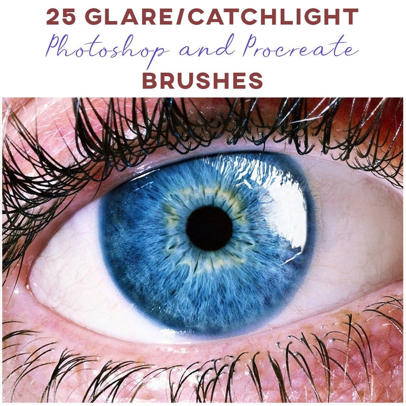 25 Catchlight Photoshop and Procreate Brushes / 25 Eye Glare Brushes / Catchlight brushes / Glare brushes / Light Reflection brushes / Lens image 1