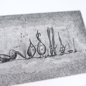 Zwiegespaltene Zwiebelgestalten - Aqua Tinta Radierung