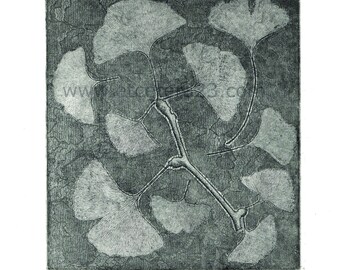 Ginkgo - Etching / Vernis Mou