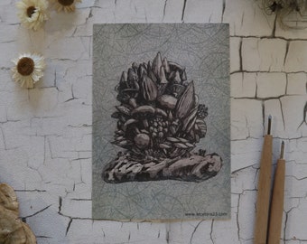 Carte postale « Champignon »