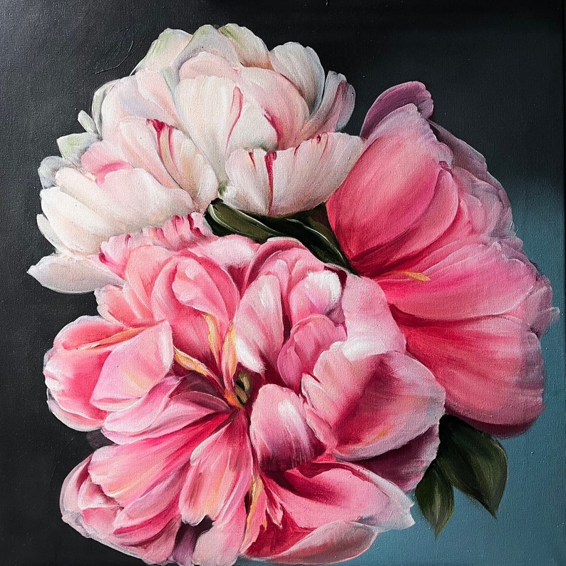 Puede incluir: Primer plano de tres peon&iacute;as rosas y blancas. Las peon&iacute;as est&aacute;n en plena floraci&oacute;n y tienen una textura suave y delicada. El fondo es de un color oscuro, casi negro.