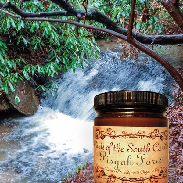 Pisgah Forest Candle, container candle, essential oils, scented candle, organic, soy wax, gift for him, gift for her, gift for hiker