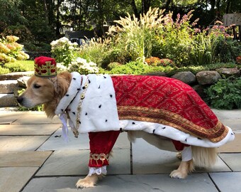 kings dog jersey