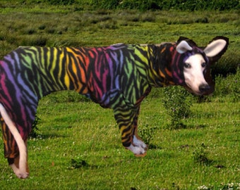 Zebra Greyhound, Zebra costume