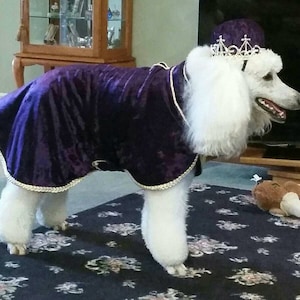 Dog/Greyhounds and more King or Queen Renaissance Costume (crown sold separately)