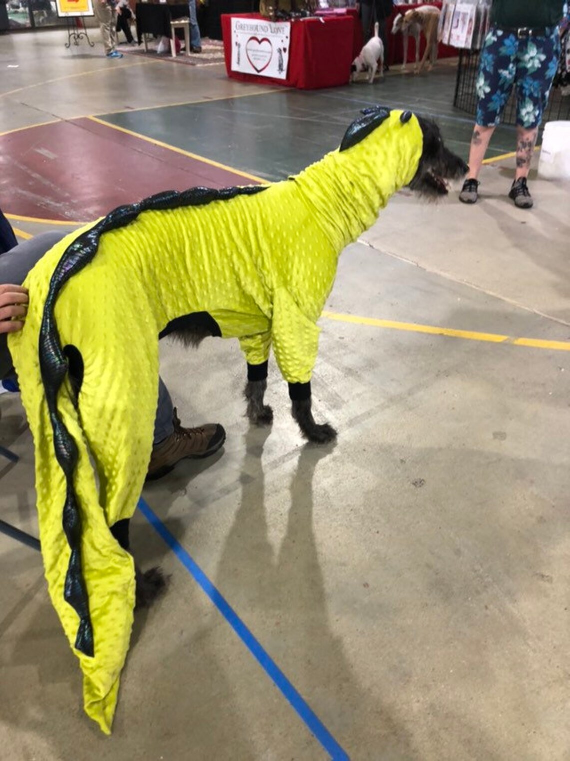 Dinosaur Greyhound costume Dinosaur Etsy