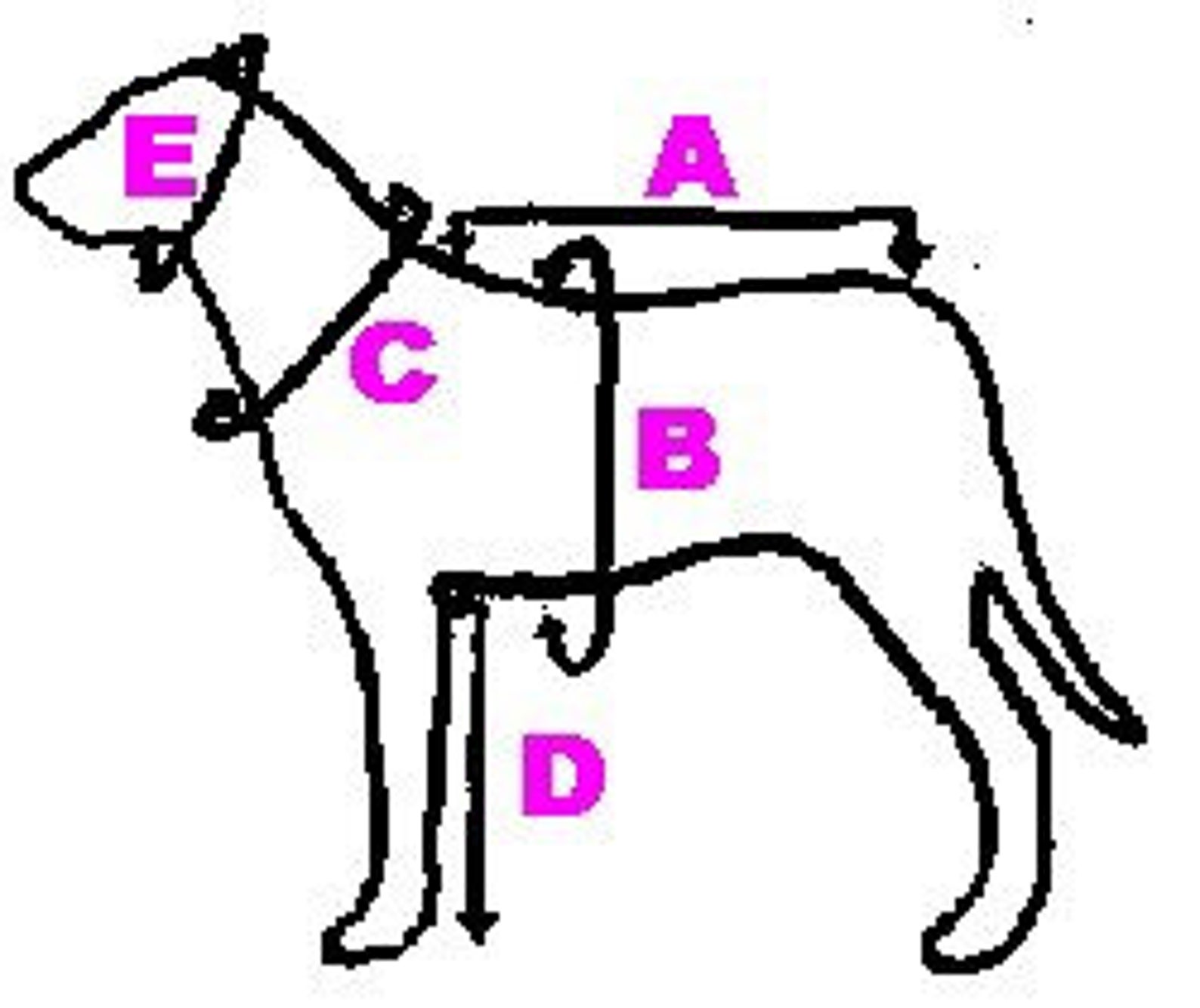 Reindeer Greyhound Costume Reindeer Custom Sized Etsy