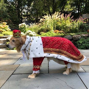 Dog Custom King George/Hamilton costume image 1