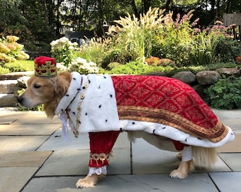 Dog Custom King George/Hamilton costume