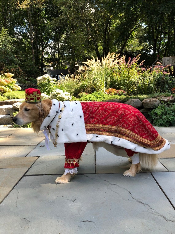 custom dog costumes