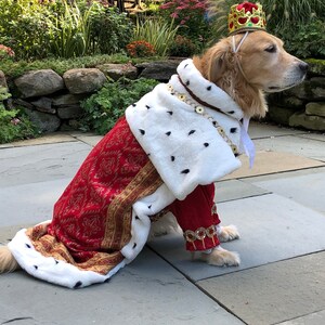 Dog Custom King George/Hamilton costume image 3