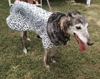 Dog or cat Diva Coat grey