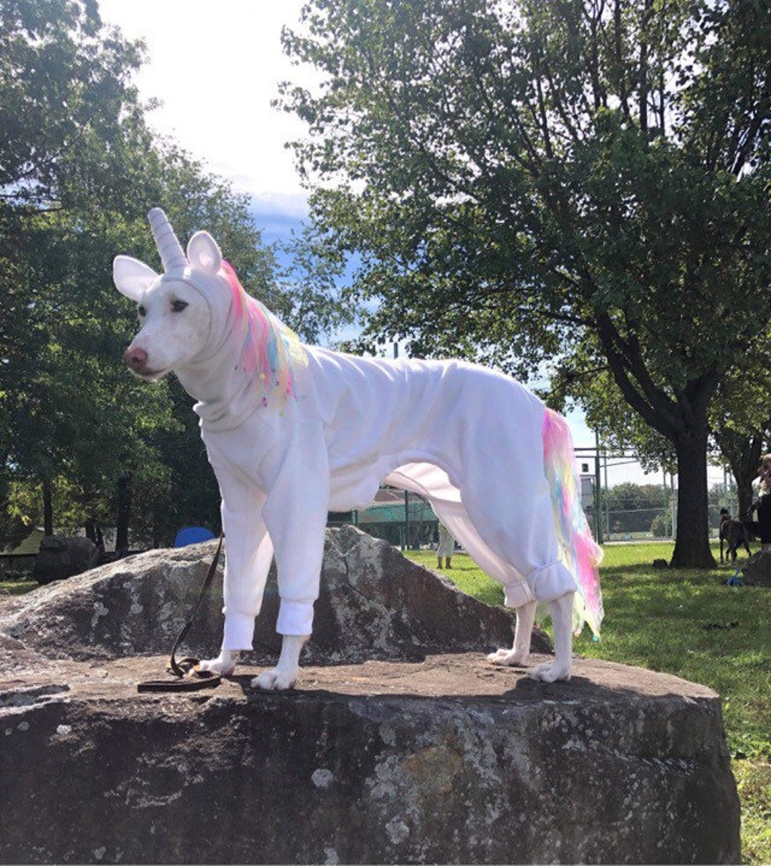 Dog Unicorn Greyhound Rainbow Unicorn Custom Costume