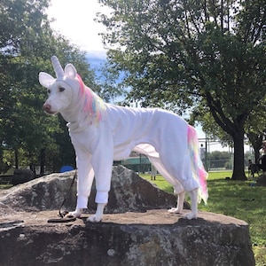 Dog Unicorn Greyhound Rainbow Unicorn custom costume