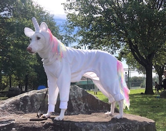 Dog Unicorn Greyhound Rainbow Unicorn custom costume