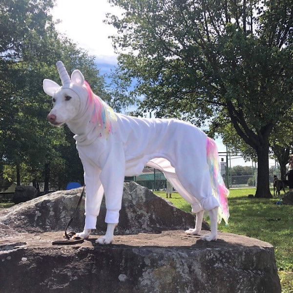 Unicorn Pet Costume Etsy