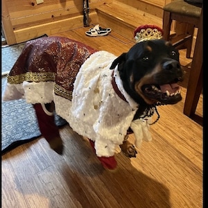 Dog Custom King George/Hamilton costume image 6