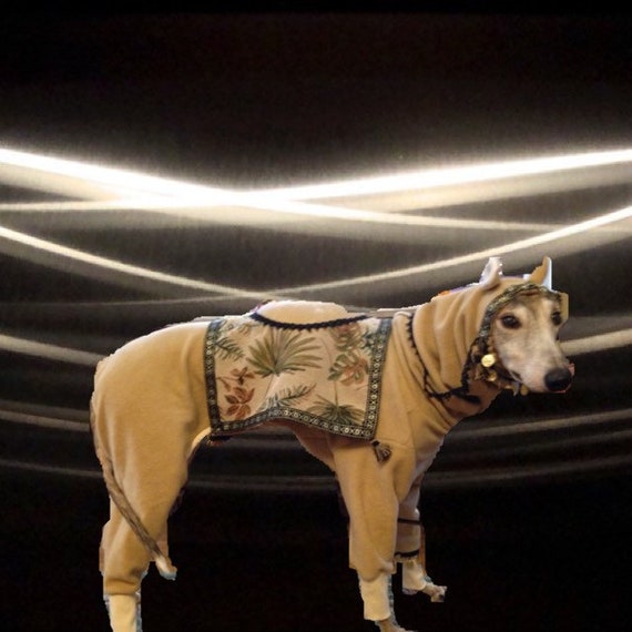 Camel top dog costume