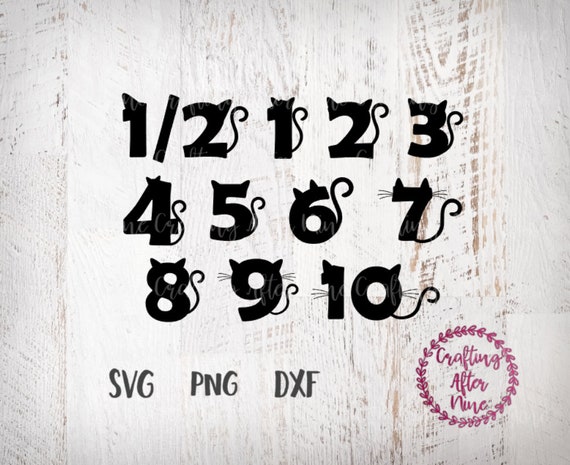 Download Birthday Bundle Svg 1st Birthday Half Birthday Svg 2nd Etsy PSD Mockup Templates