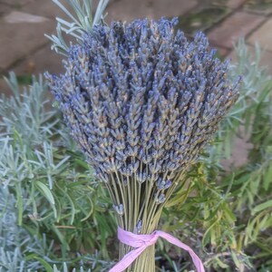 Picture of bouquet of lavender, for sale by Lavender By Lynn.