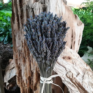 Lavender bouquets, hand harvested. Dried and assembled with much care. image 3