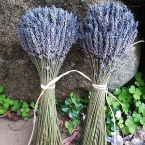 Set of 2 Lavender Bouquet&#39;s. Harvested and crafted with care, so that my bouquet&#39;s will last to enjoy for quite awhile.