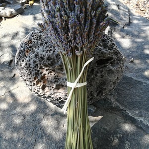 Lavender bouquets, hand harvested. Dried and assembled with much care. image 5