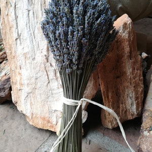 Lavender bouquets, hand harvested. Dried and assembled with much care. image 2