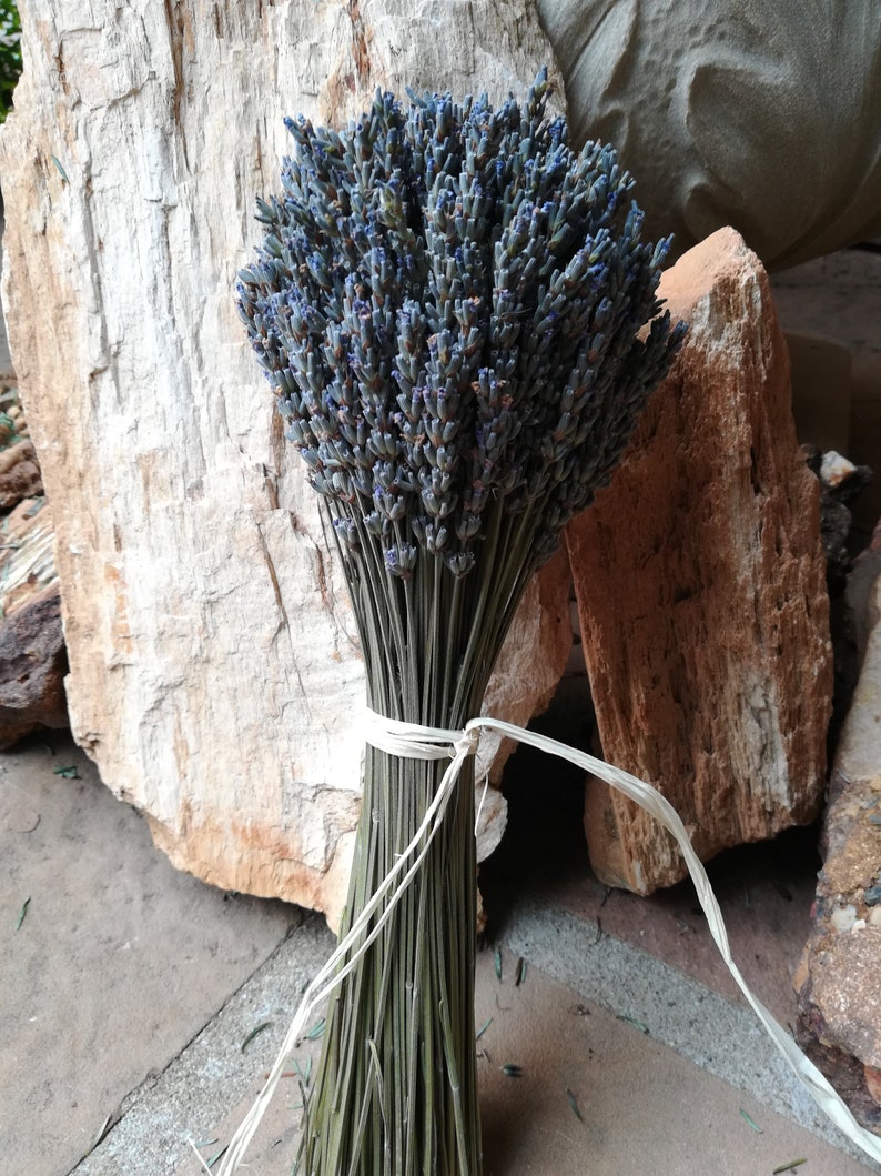 Lavender bouquets, hand harvested. Dried and assembled with much care. image 2