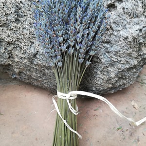 Lavender bouquets, hand harvested. Dried and assembled with much care. image 4