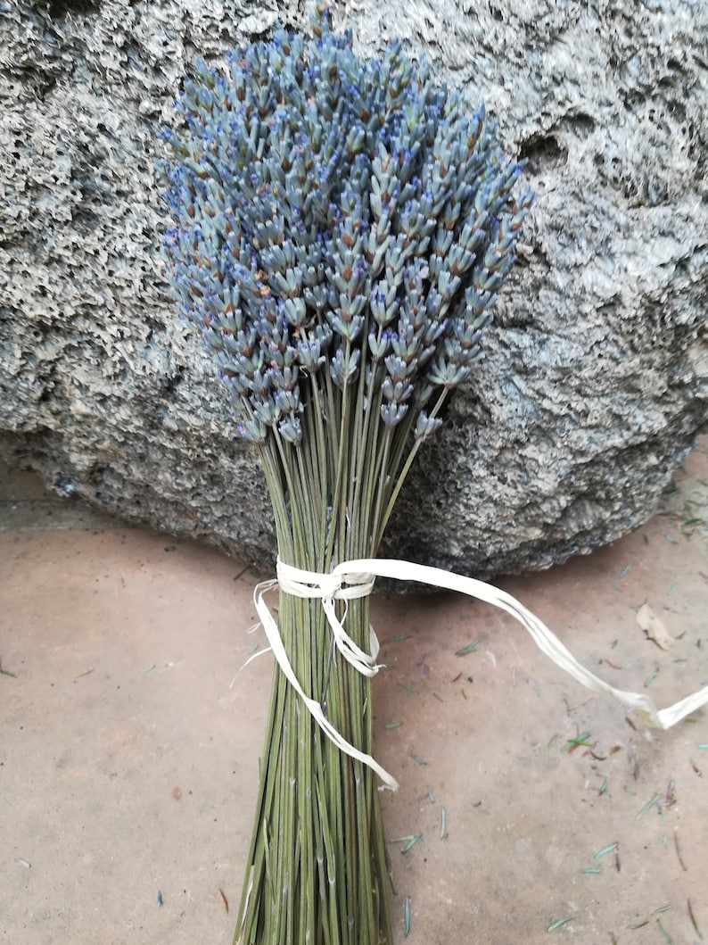 Lavender bouquets, hand harvested. Dried and assembled with much care. image 4