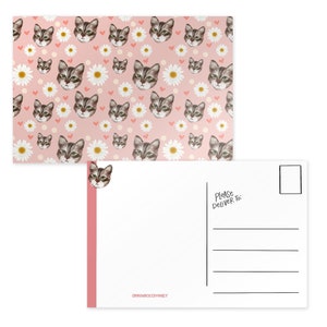 Postcards | Set of 8 | Pink Cat | Stationery Set | Cards for Best Friends | Art | Friendship Postcards