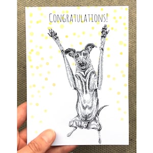 Gefeliciteerd hondenkaart, Lurcher-kaart, blanco hondenkaart